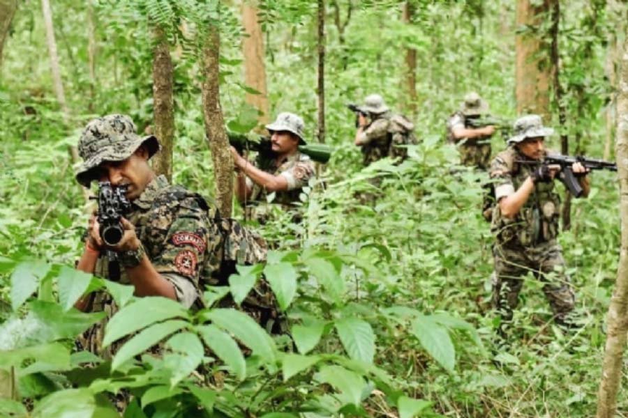 চলতি বছরে শুরুতে ছত্তিশগড়ের জঙ্গলে ফের IED বিস্ফোরণ!